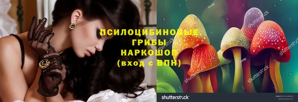 спайс Баксан