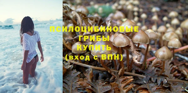 спиды Балабаново
