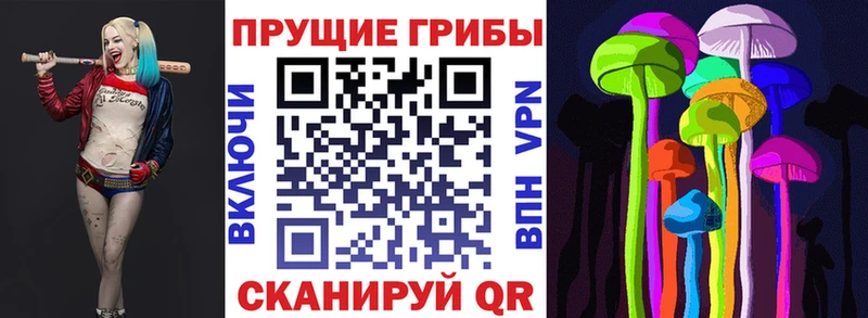Галлюциногенные грибы прущие грибы  blacksprut сайт  Зеленоградск 